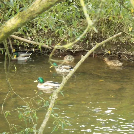 - Vakantiehuis, Ferienwohnung, 100 Qm, Rollmann, 54578 Nohn, Eifel- Nuerburgring *