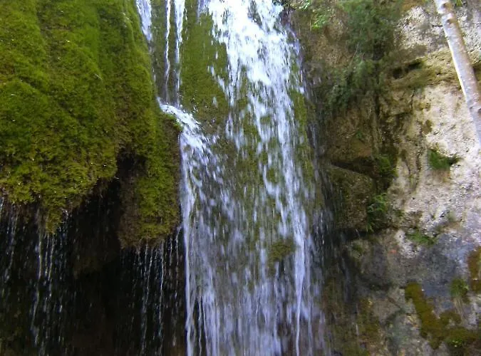 Holiday home - Vakantiehuis, Ferienwohnung, 100 Qm, Rollmann, 54578 Nohn, Eifel- Nuerburgring Nohn (Rhineland-Palatinate)