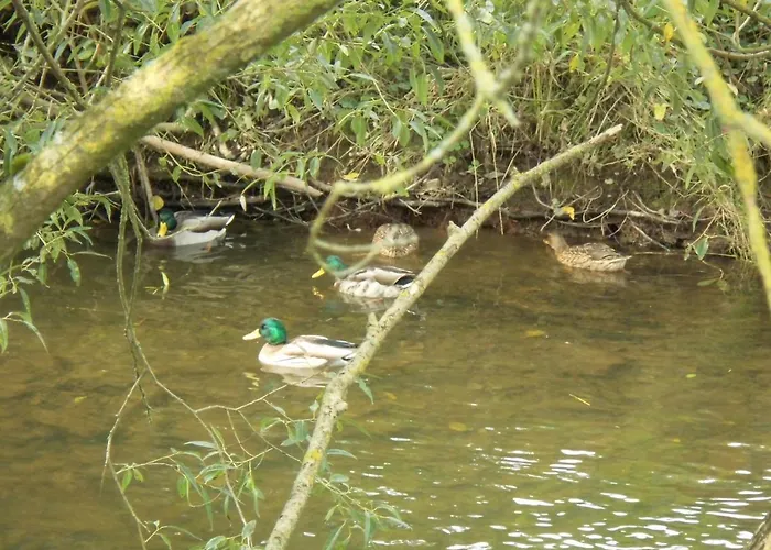 - Vakantiehuis, Ferienwohnung, 100 Qm, Rollmann, 54578 Nohn, Eifel- Nuerburgring *